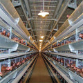 Automatic Pullet Chicken Birds′ Poultry Cages for Farm Use